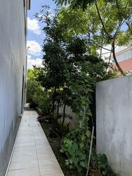 Springleaf Garden (D26), Semi-Detached #496021711